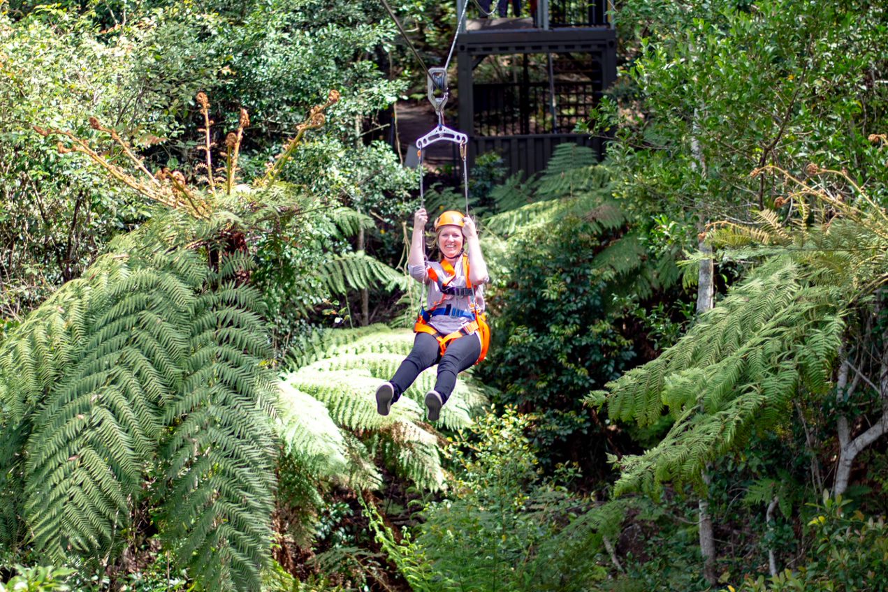 Illawarra Fly Treetop Adventures