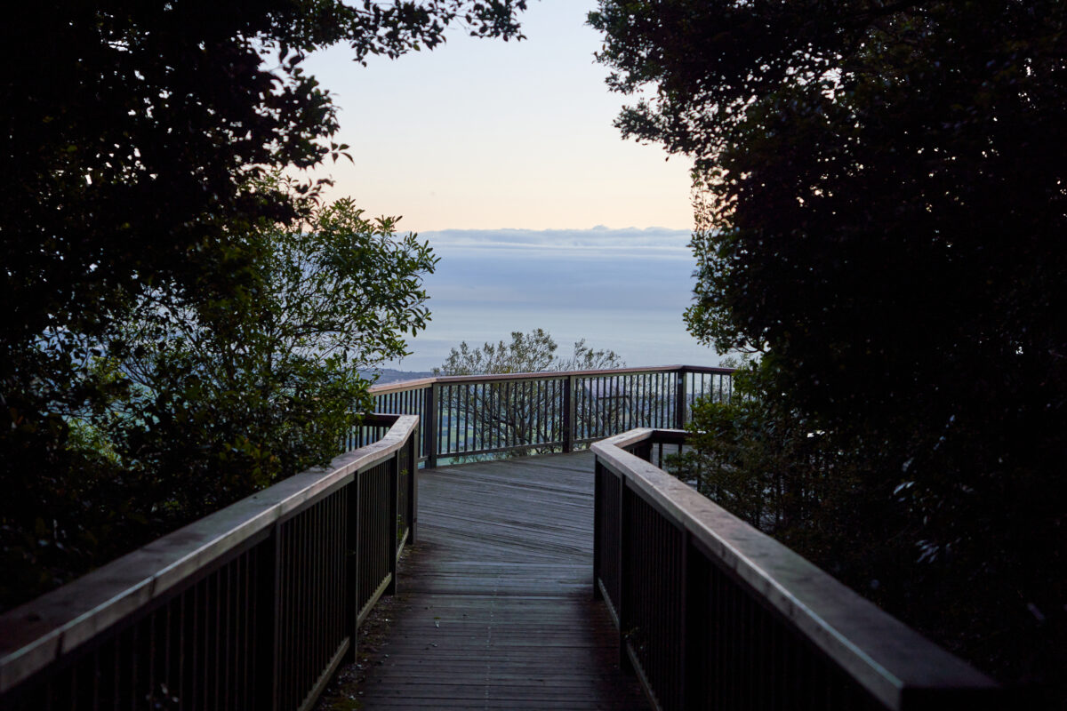 Saddleback Mountain Lookout Kiama by Rob King