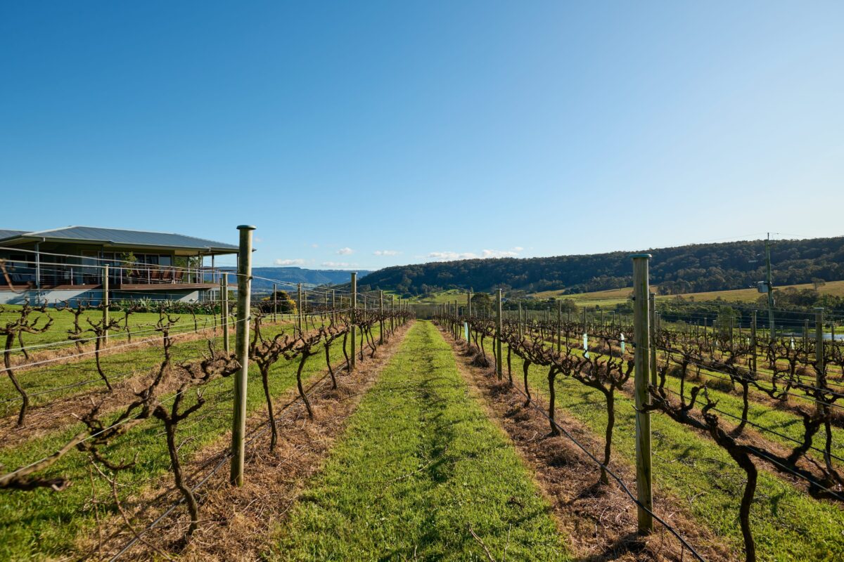 Destination NSW